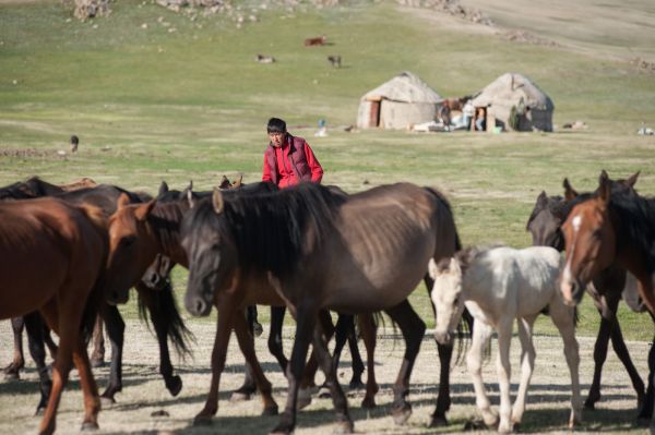 olimpiadas nomadas en kirgyzstan