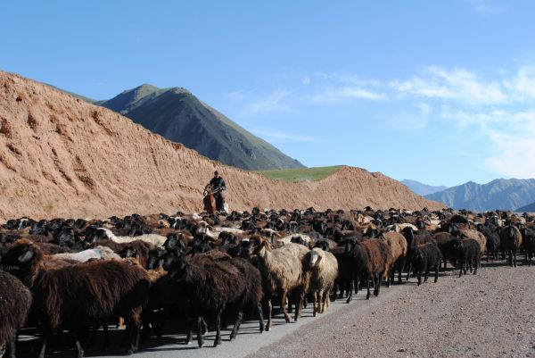 dushanbe