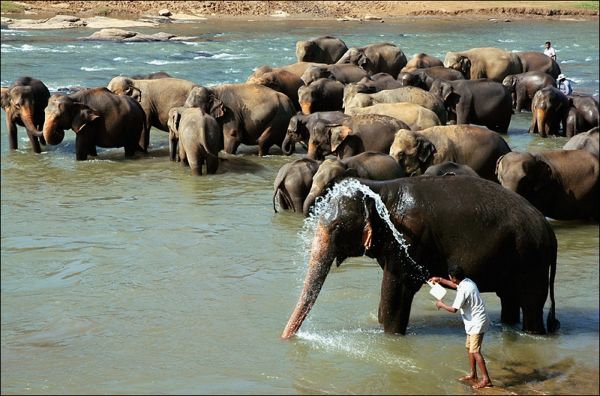 pescadores en sri lanka