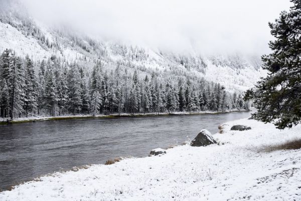 parque nacional Grand Teton