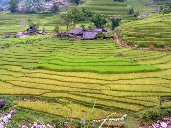 vietnam cueva