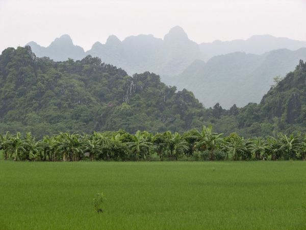 vietnam cueva