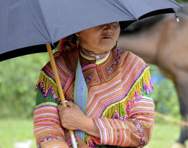 vietnam cueva