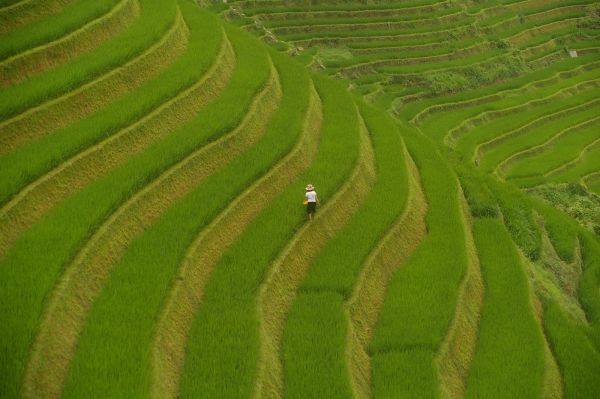 Aldeas de Vietnam