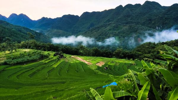 vietnam cueva