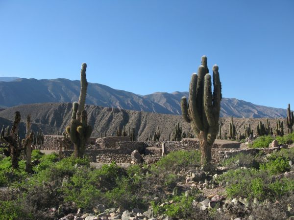Bolivia Laguna Verde