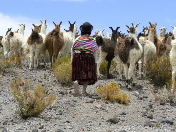 Bolivia Laguna Verde
