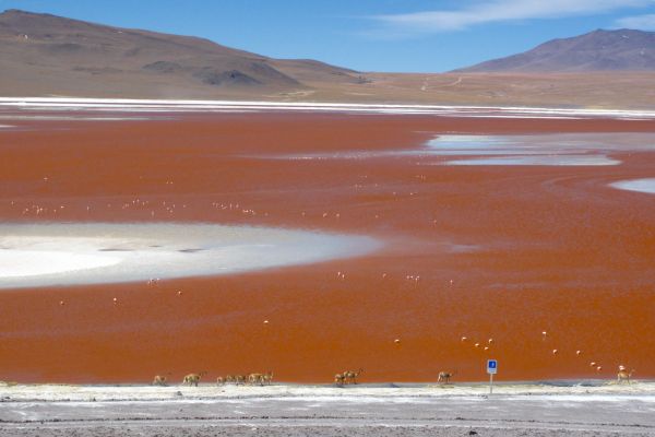 Bolivia Laguna Verde