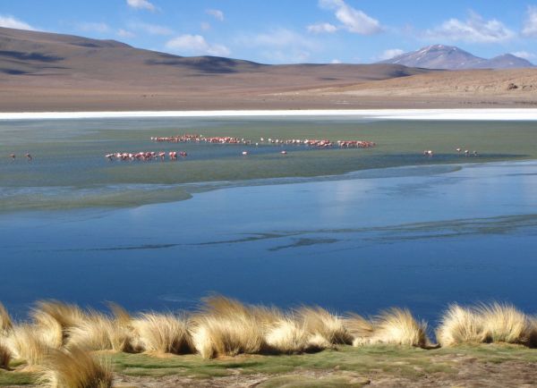 Bolivia Laguna Verde