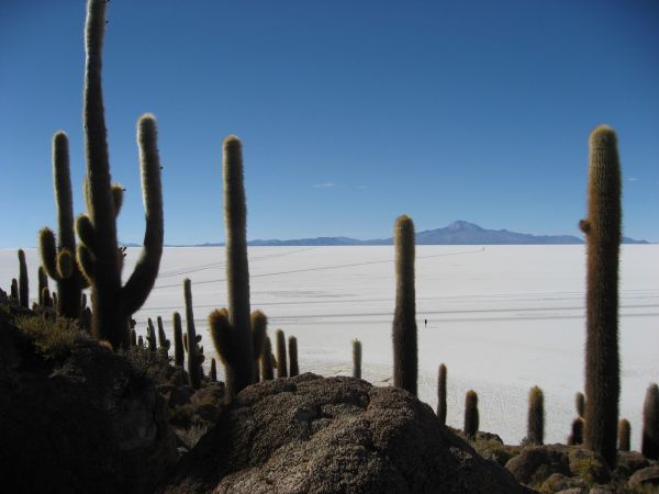 Bolivia Laguna Verde