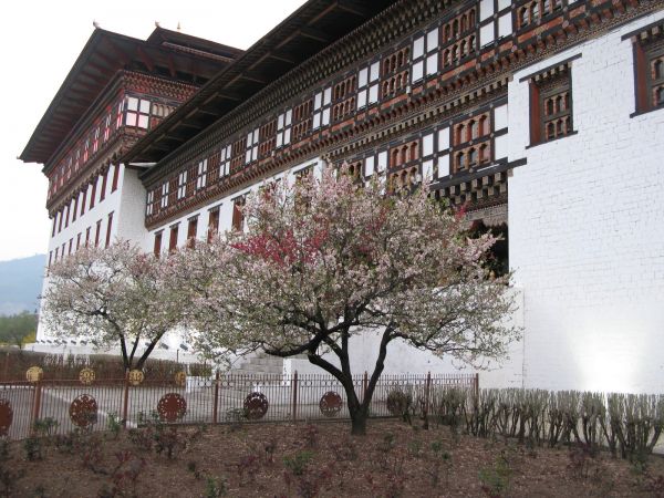 Festival Jambhay Lhakhang Drup 