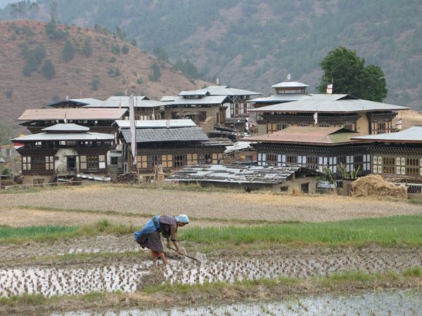 Festival Jambhay Lhakhang Drup 