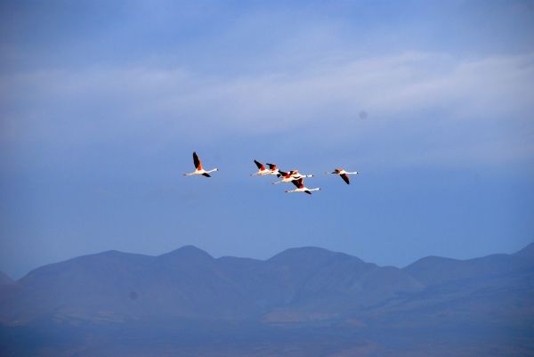 Bolivia Laguna Verde