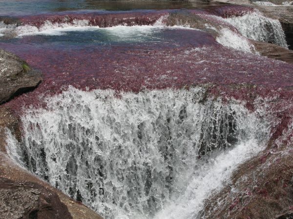 Cao Cristales Colombia