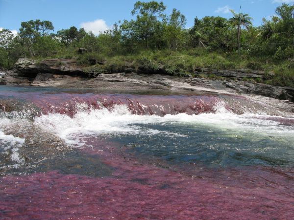 Cao Cristales Colombia