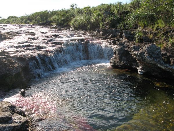 Cao Cristales Colombia