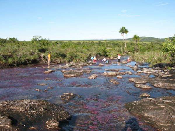 Cao Cristales Colombia