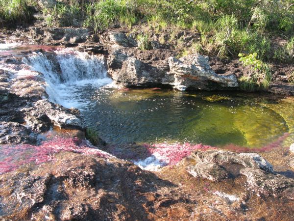 Cao Cristales Colombia