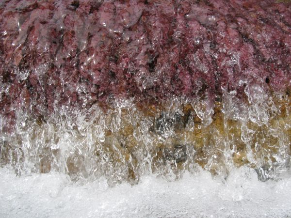 Cao Cristales Colombia
