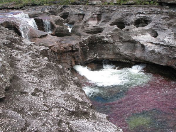 Cao Cristales Colombia