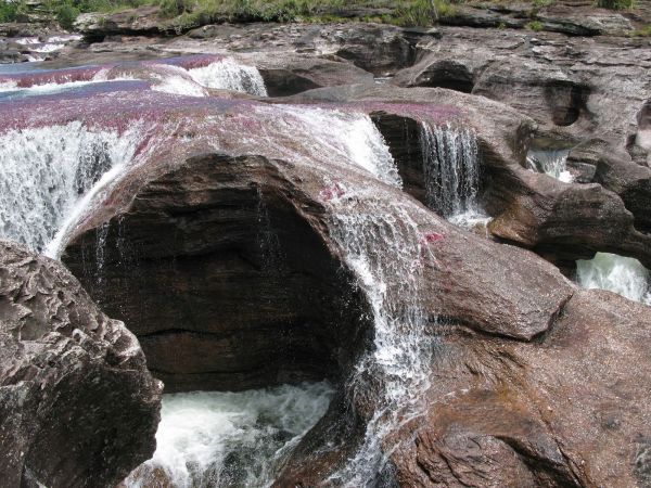 Cao Cristales Colombia