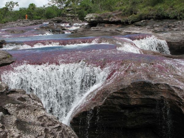 Cao Cristales Colombia