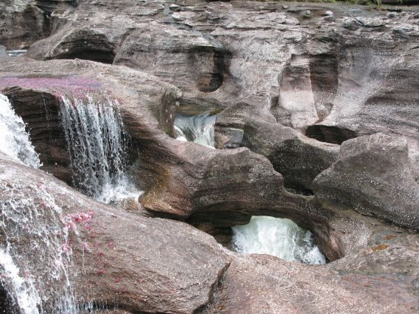Cao Cristales Colombia