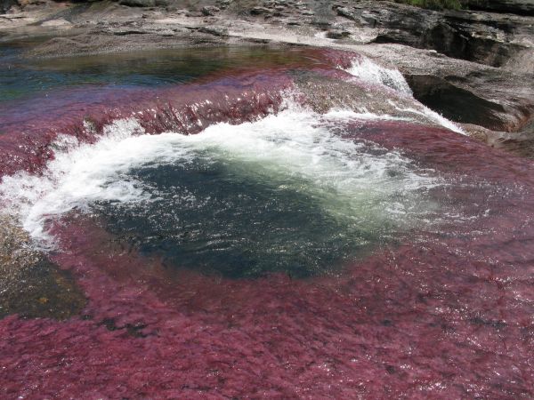 Cao Cristales Colombia