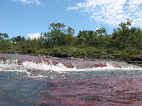 Cao Cristales Colombia
