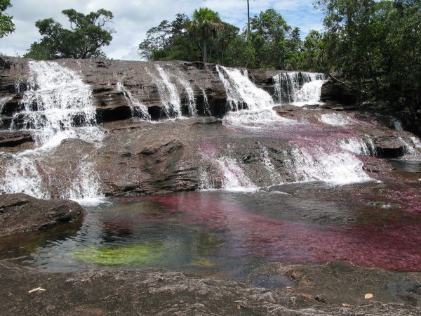 Cao Cristales Colombia
