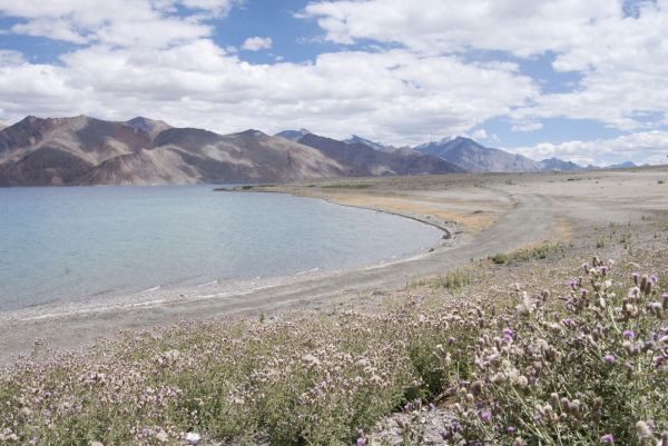Ladakh - Cachemira
