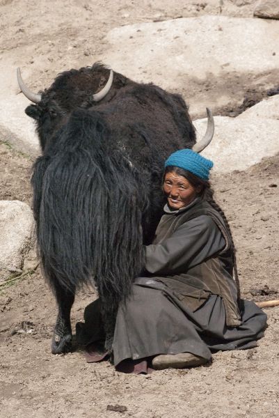 Ladakh - Cachemira