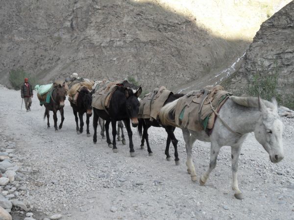 Ladakh - Cachemira