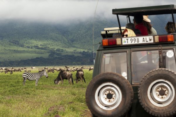 tanzania jirafa