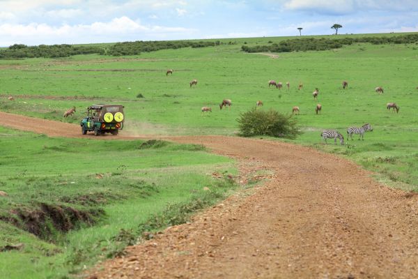 tanzania jirafa