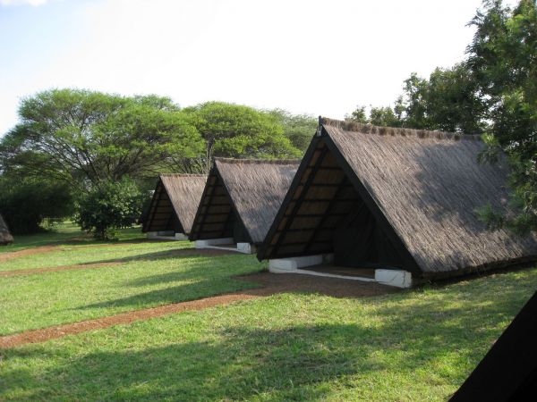 tanzania acacias