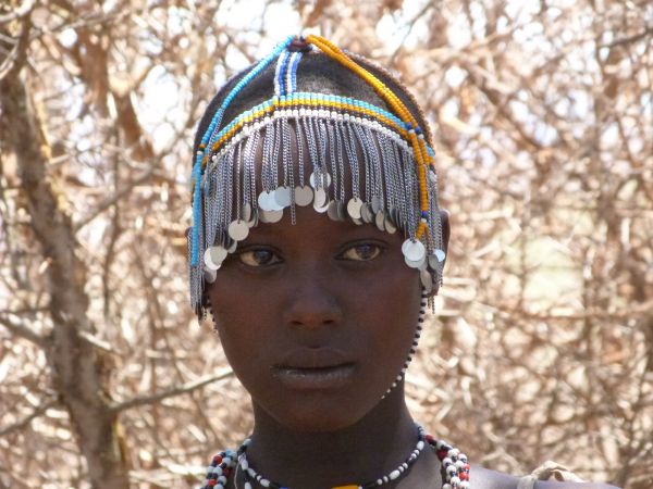 tanzania acacias