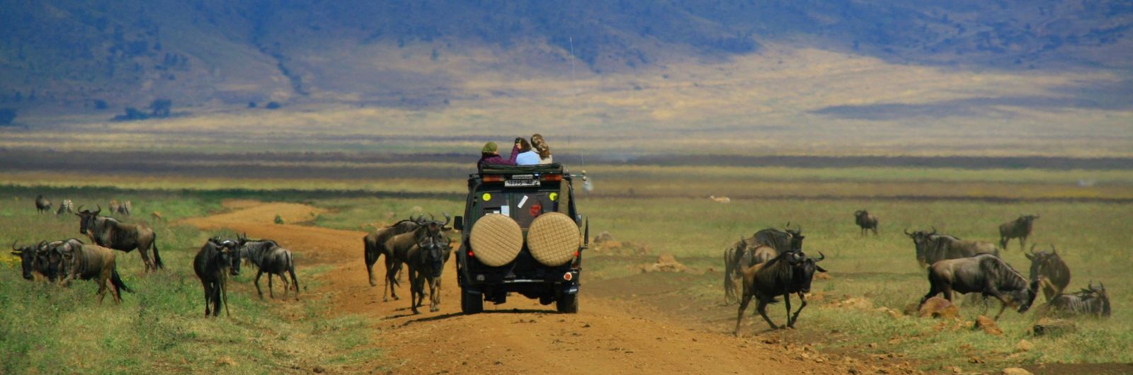 Ngorongoro