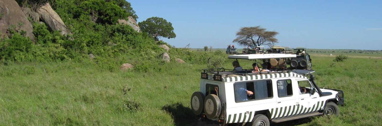 tanzaniia parrque nacional ngorongoro