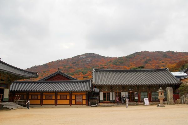 plantaciones en corea sur