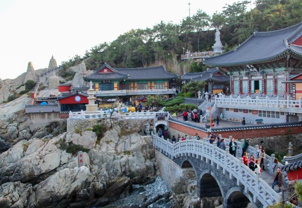 plantaciones en corea sur