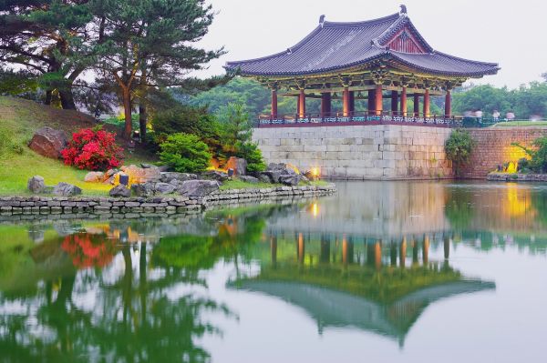plantaciones en corea sur
