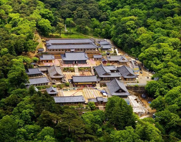 plantaciones en corea sur