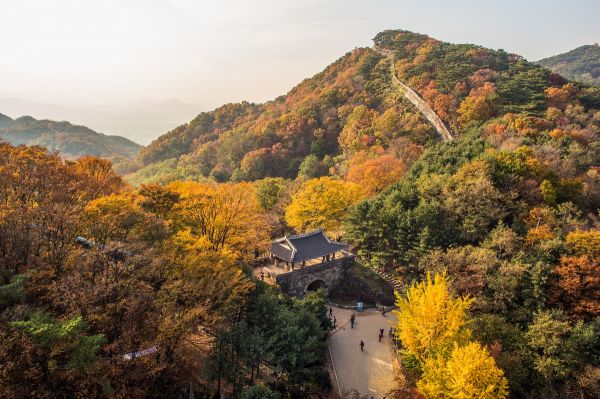 plantaciones en corea sur