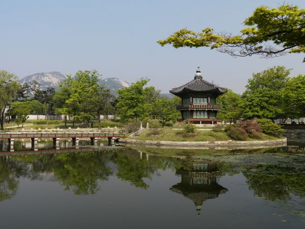 plantaciones en corea sur