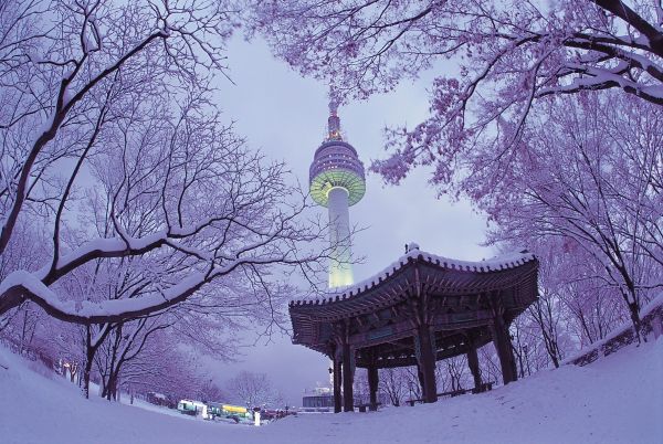 plantaciones en corea sur