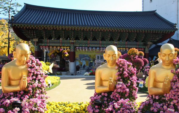 plantaciones en corea sur