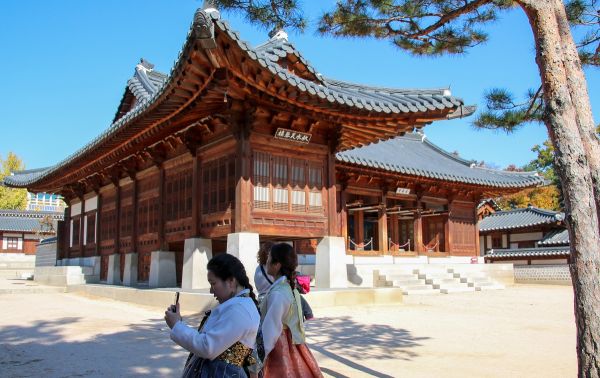 plantaciones en corea sur