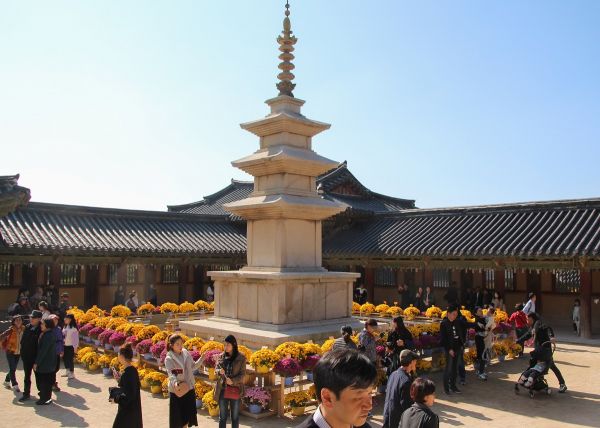 plantaciones en corea sur