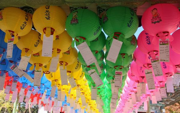 plantaciones en corea sur